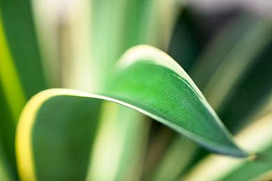 《永劫无间》携手高达之父大河原邦男新作机甲皮肤